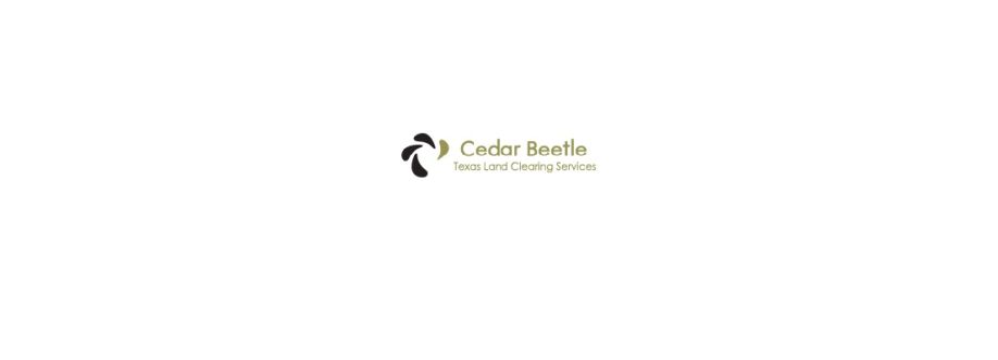 Texas Land Clearing Services ~ Cedar Beetle Services ~ Cedar Beetle Cover Image