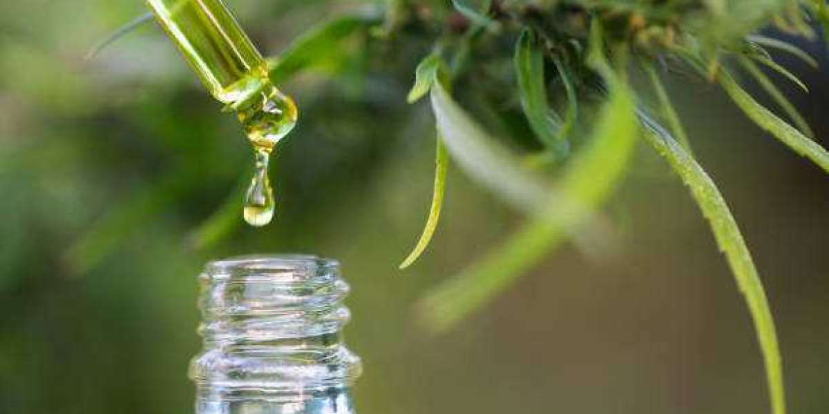 How CBD Can Reduce Pain and Improve Quality of Life?