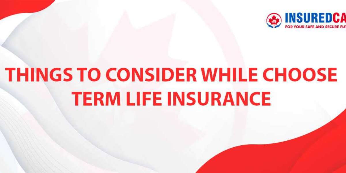 Things to Consider While Choose Term Life Insurance