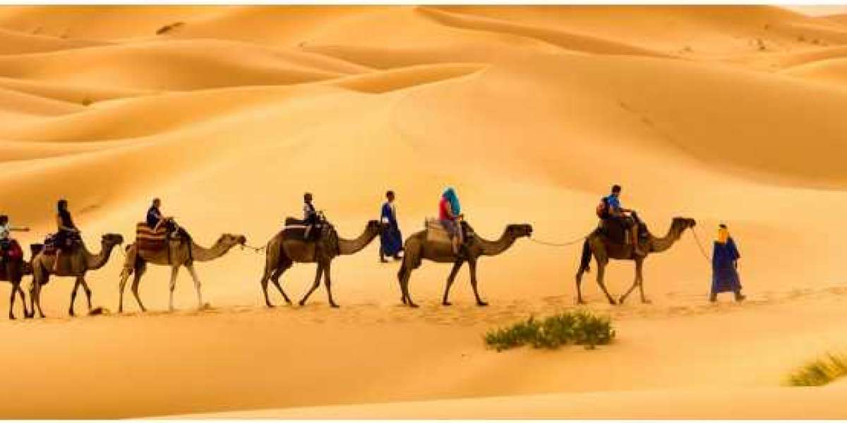 Discover the Desert Landscapes: Fes to Marrakech Tour