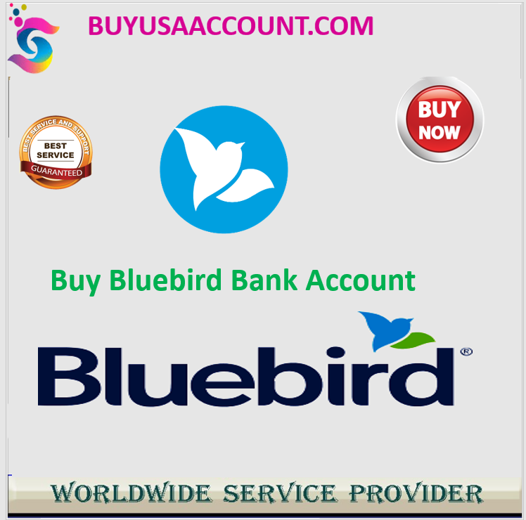 Buy Bluebird Bank Account - Buyusaaccount