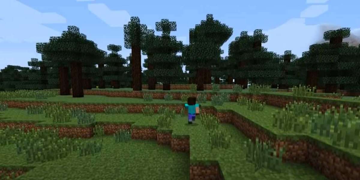 What is Minecraft: Guide to Survival