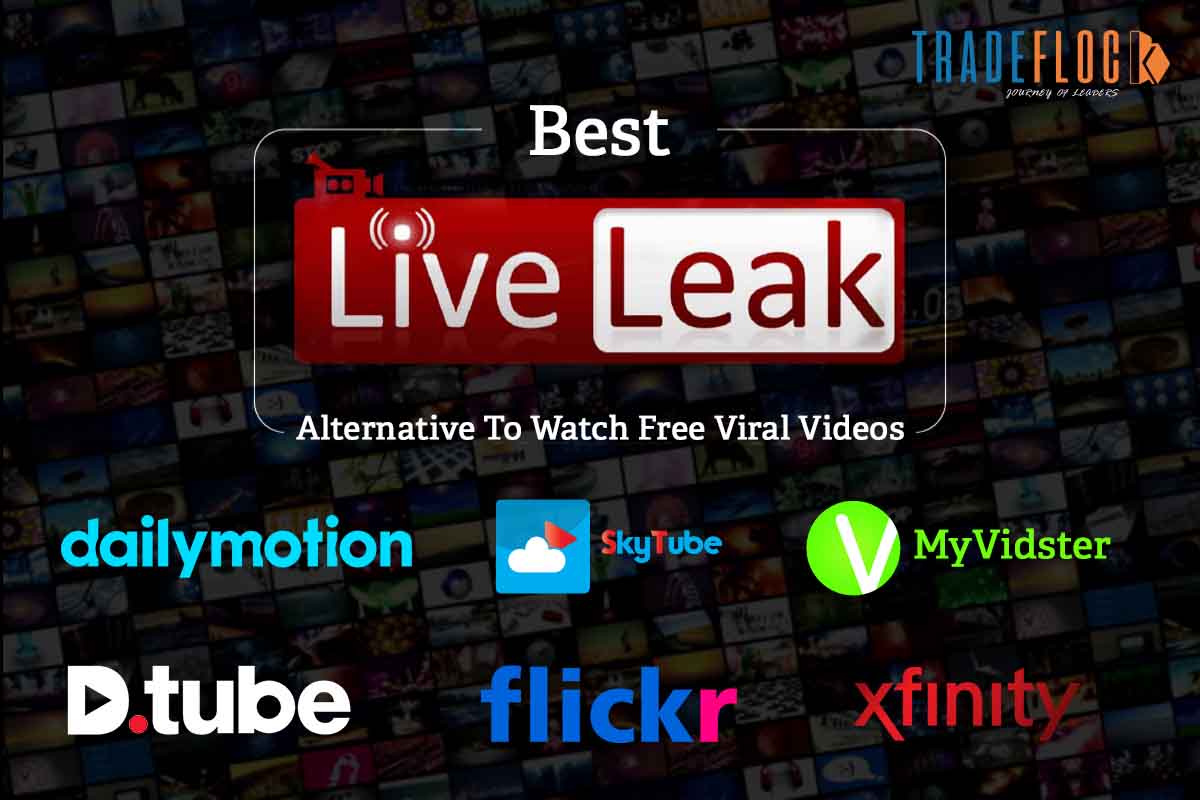 Liveleak Alternative: Watch The Most Viral Videos For Free