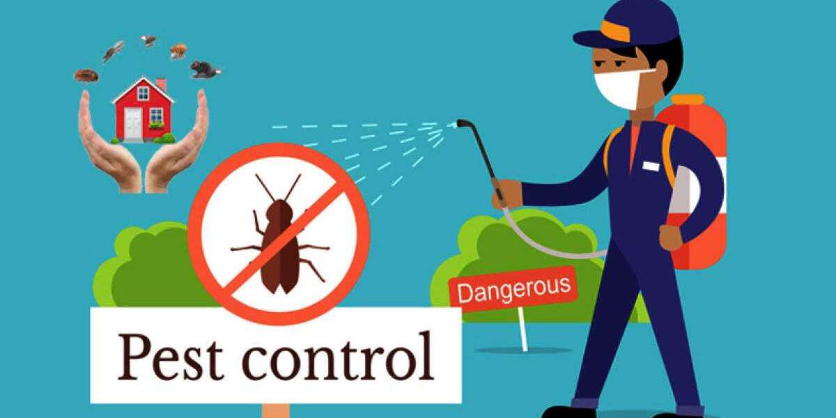 Why You Need to Manage Pest Control Service in Dhaka