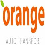 orange autotransport Profile Picture