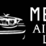 Metrodetroit limo Profile Picture
