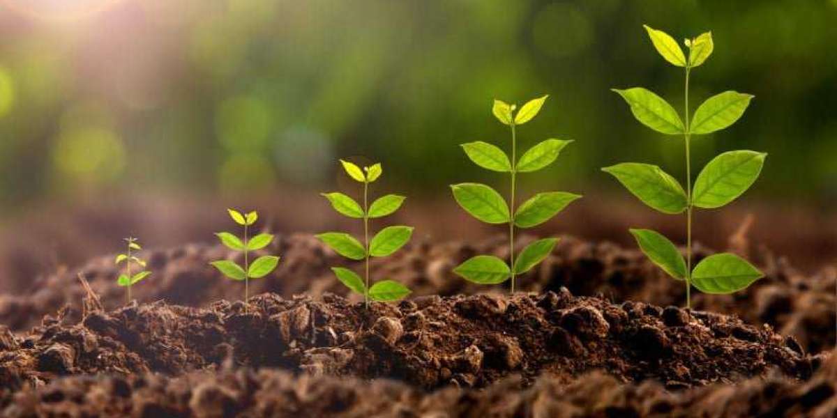 Plant Growth Regulators Market Share Poised To Garner Maximum Revenues By 2030