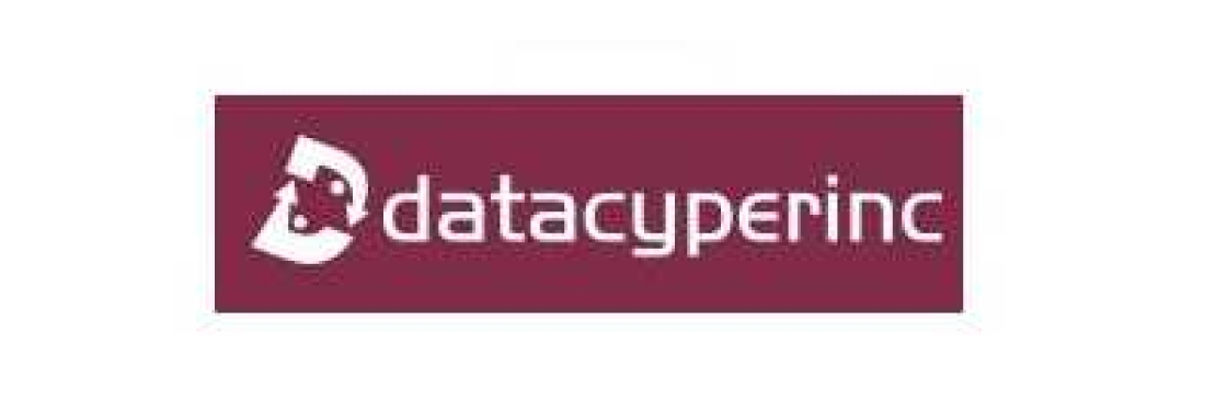 Data Cyper Inc Cover Image