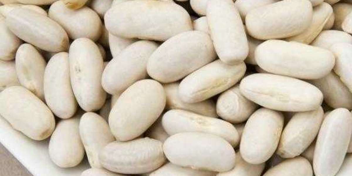 White Kidney Bean Concentrate for Weight reduction Purposes