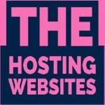 The Hosting Websites Profile Picture