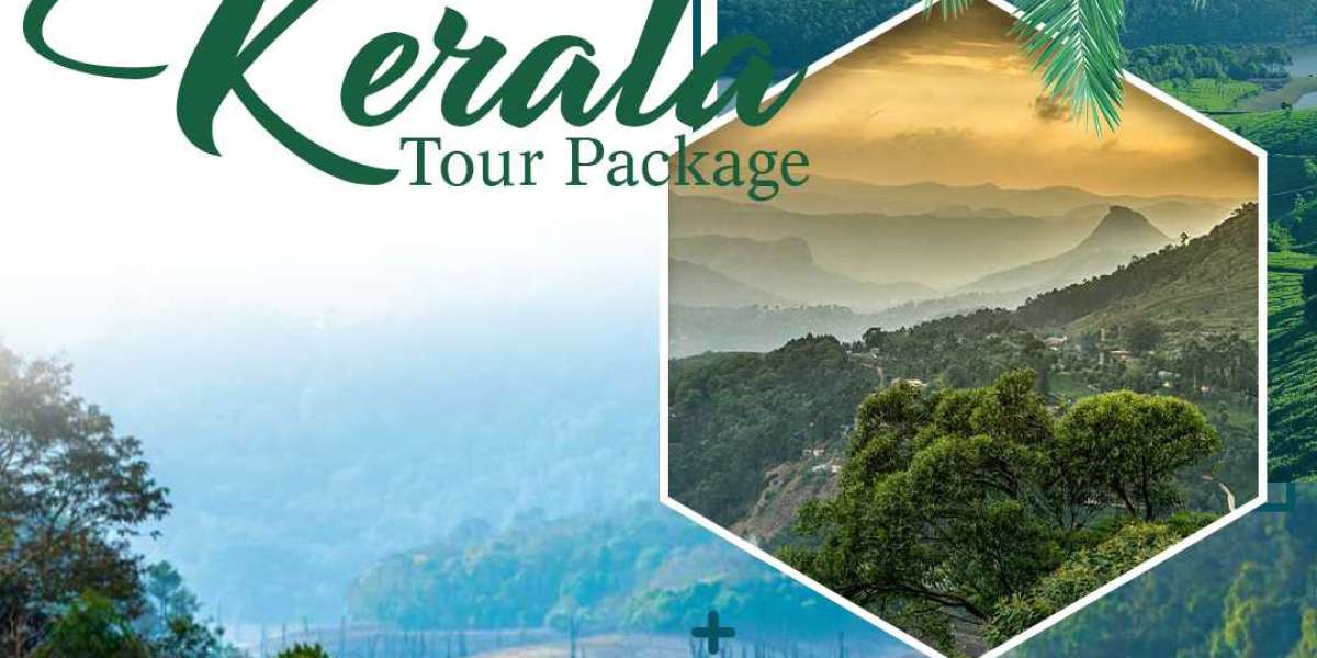 Plan Munnar 3 Nights 4 Days Package with Lock Your Trip