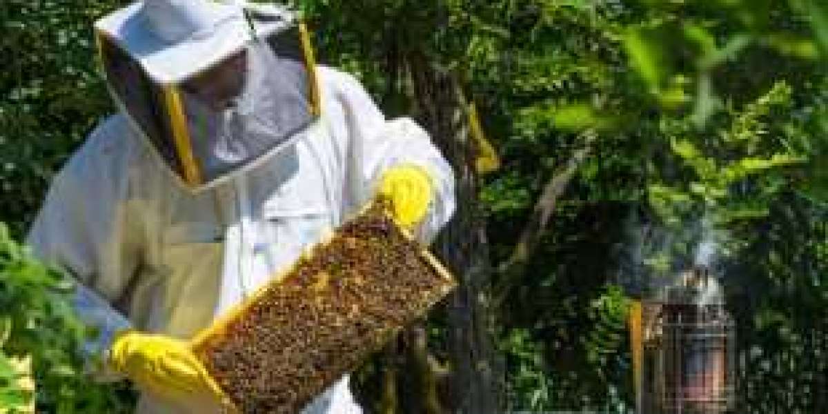 The Buzz on Honeybee Diseases: Understanding the Threats Facing Our Pollinators