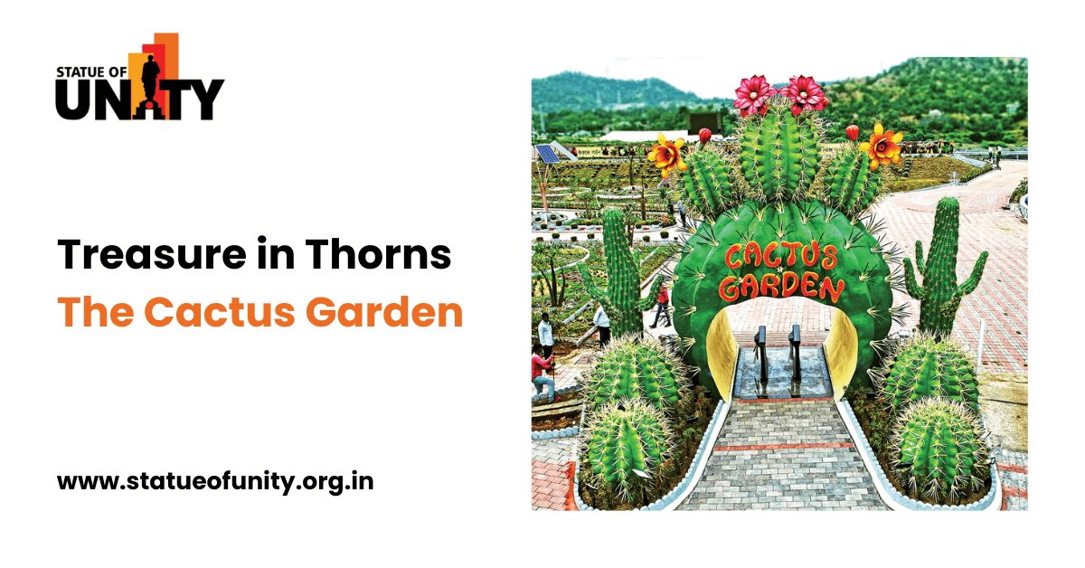 Treasure in Thorns: The Cactus Garden - Aalpine Holiday