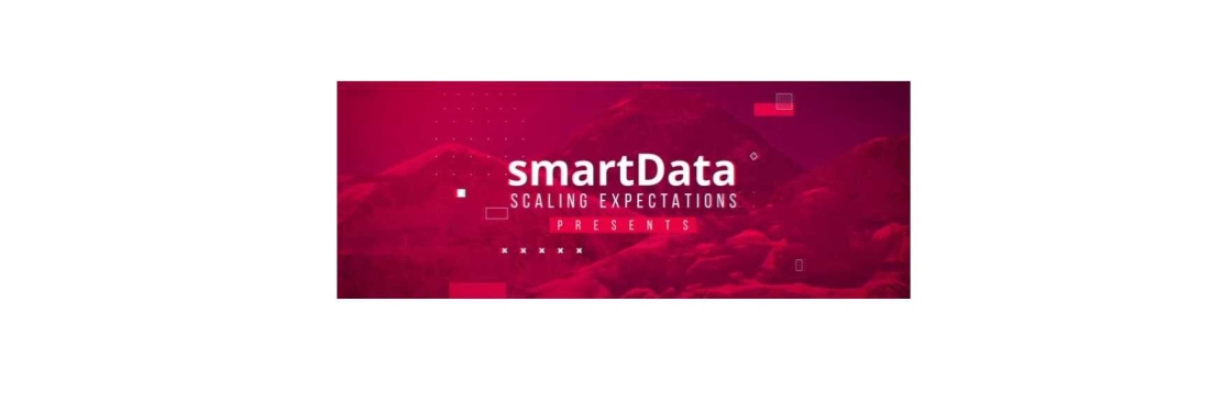 smartData Enterprises Inc Cover Image