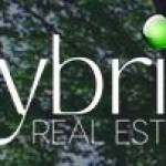 Robin Troy - Hybrid Real Estate Profile Picture