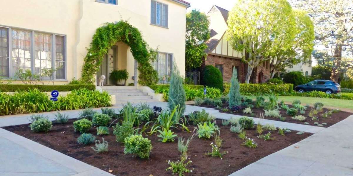 Drought-Tolerant Landscaping Services: Creating Water-Wise Gardens