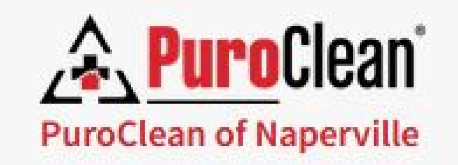 PuroClean of Naperville Cover Image