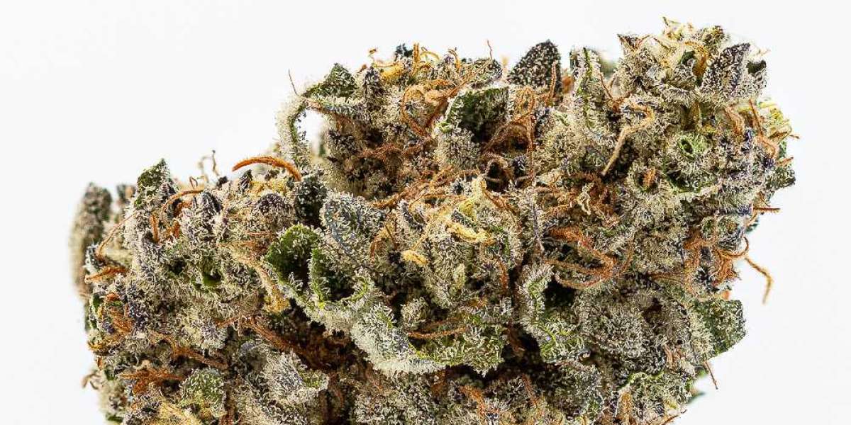 Grapefruit Kush: Discovering the Flavor and Effects of This Citrusy Cannabis Strain