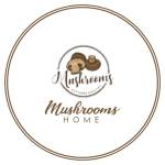 MushroomsHomes Profile Picture