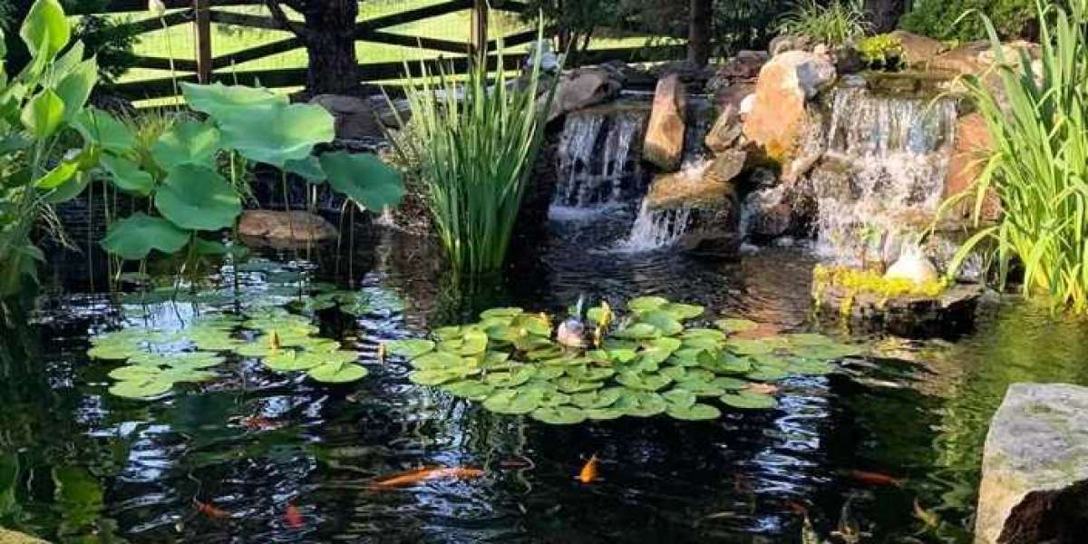 How to Design a Zen-Inspired San Diego Garden with a Beautiful Pond