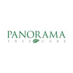 Panorama Tree Care Tampa Tree Services Profile Picture