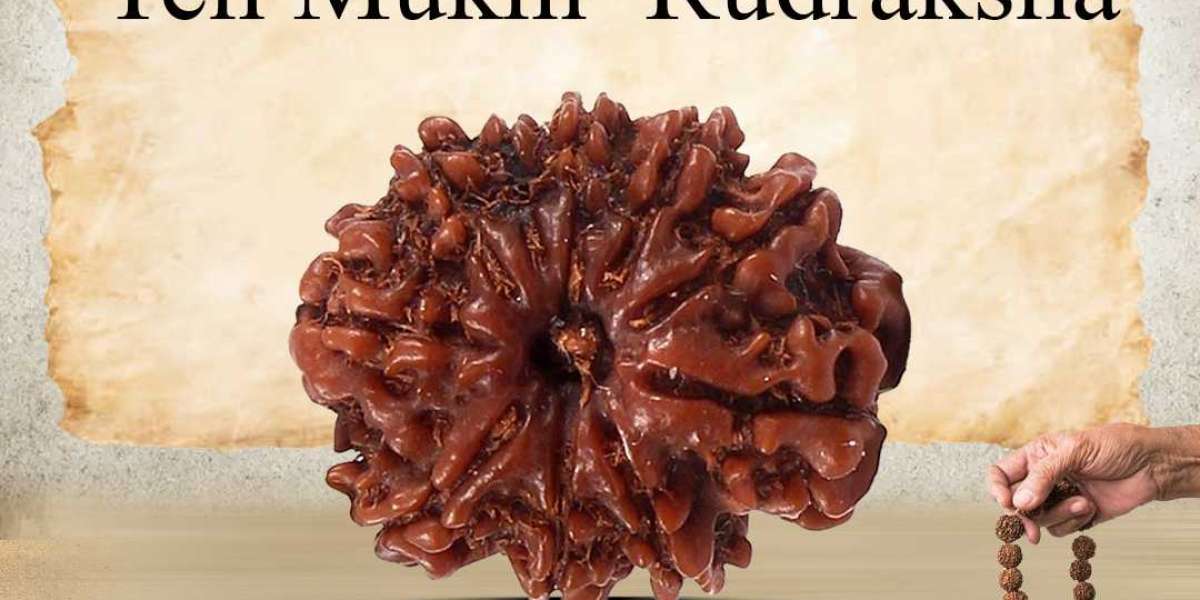 Buy 10 Mukhi Rudraksha At Best Price In India