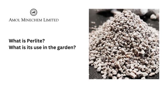 What is Perlite? What is its use in the garden? — amolminechem