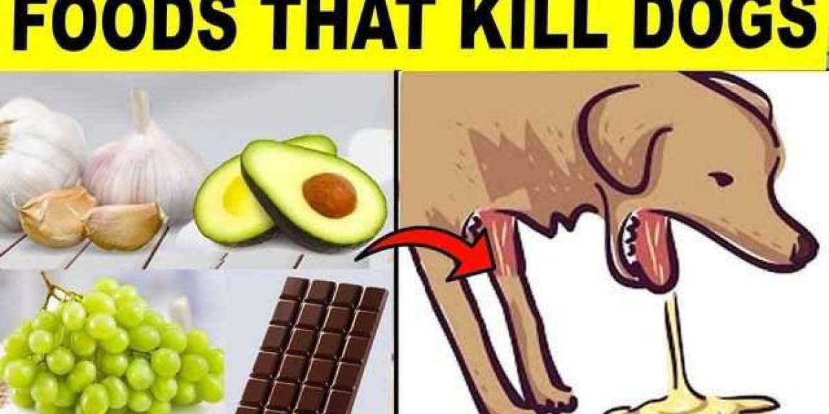 What food can kill dogs if consumed by them?