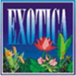 Exotica beach cottages Profile Picture