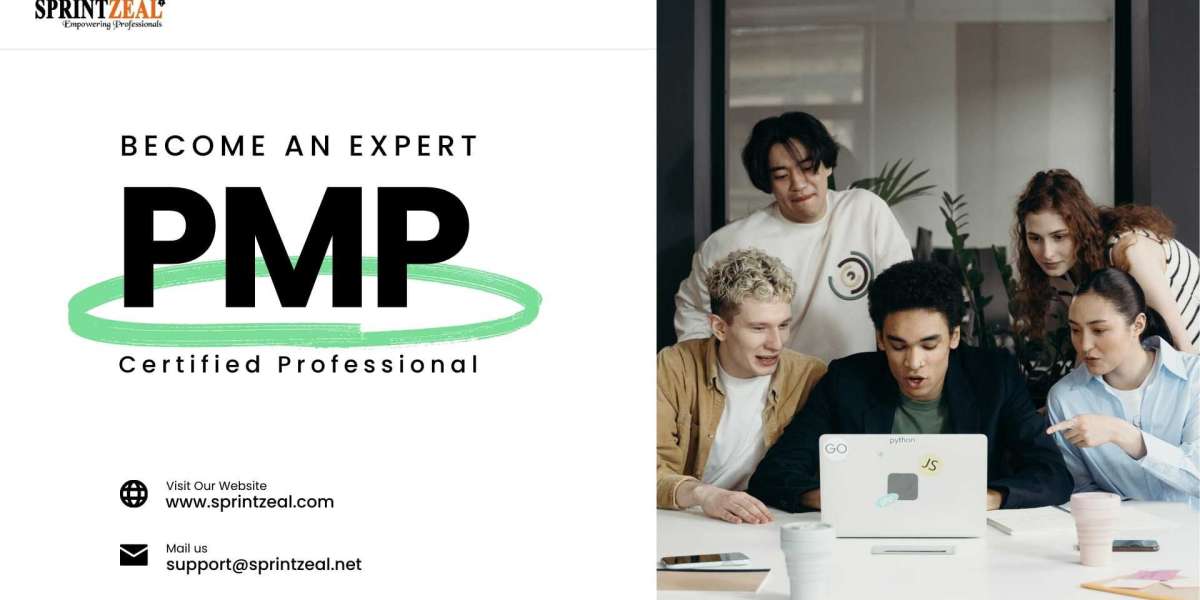 An analysis of the PMP certification