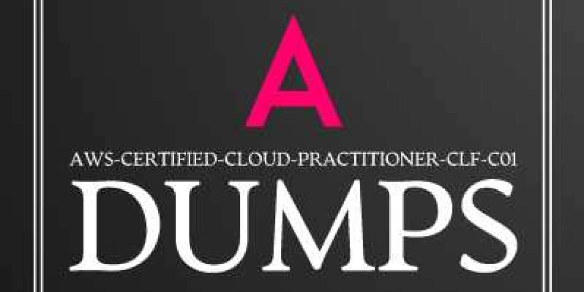 AWS-Certified-Cloud-Practitioner-CLF-C01 Dumps  can refer anytime