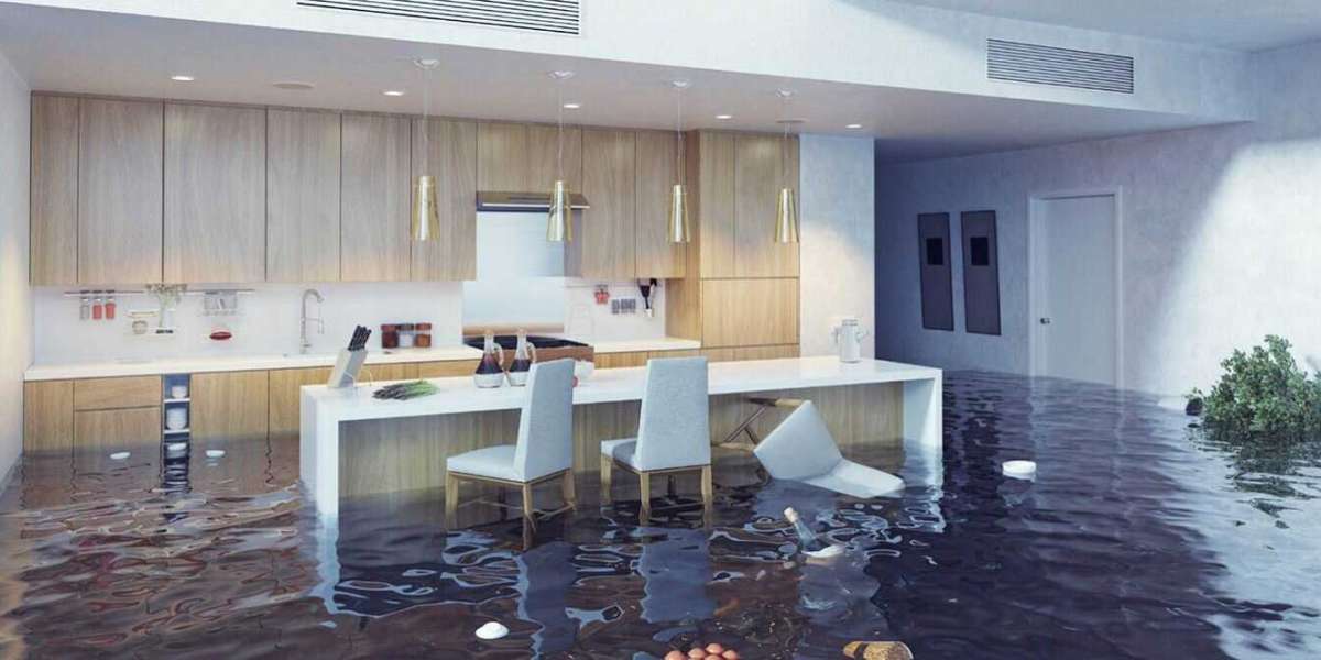 Kitchen Remodeling in Costa Mesa: Transform Your Kitchen with Sparkle Restoration Services, Inc.