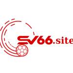 Sv666 site Profile Picture