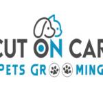 Cut On Car Pets Grooming Profile Picture