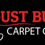 Dust Buster Carpet Cleaning Profile Picture