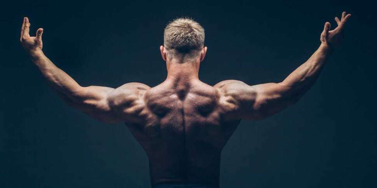 Exploring Effective Alternatives to Testosterone Cypionate: A Comprehensive Guide