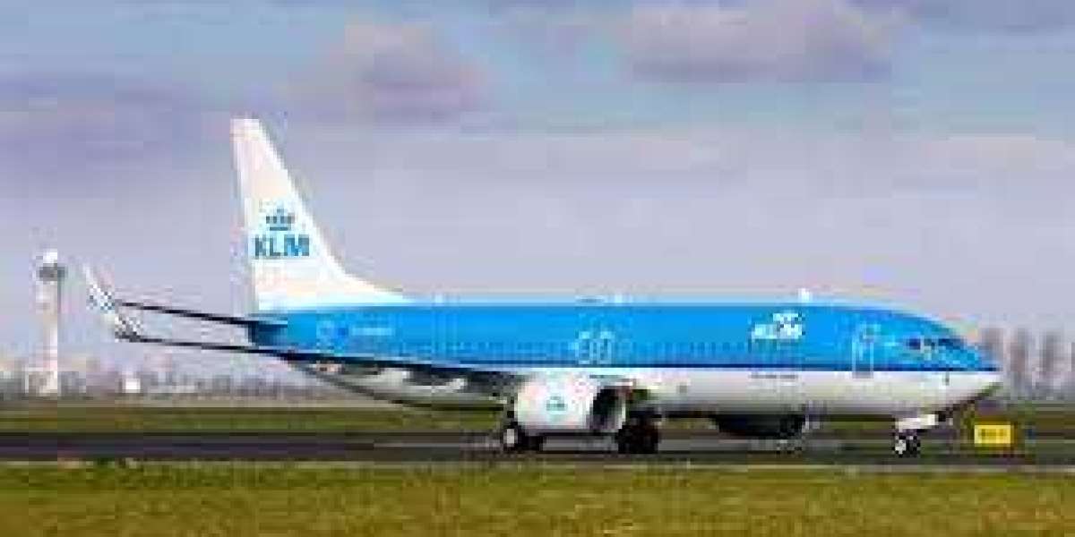 How do You Get in Touch with KLM?