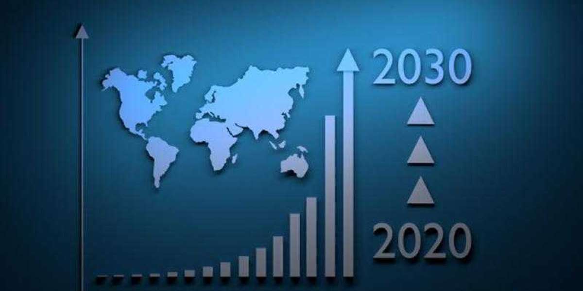 Present Situation and Future Aspects of the Lysine Market: Study Forecasting 2030