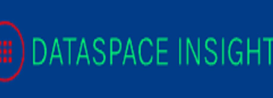 Dataspace Insights Cover Image