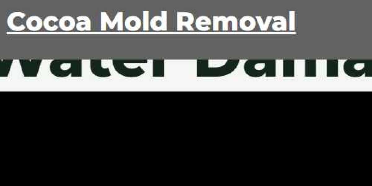 Effective Mold Removal Services in Cocoa Beach: Safeguarding Your Home and Health