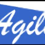 agilevalveproducts Profile Picture