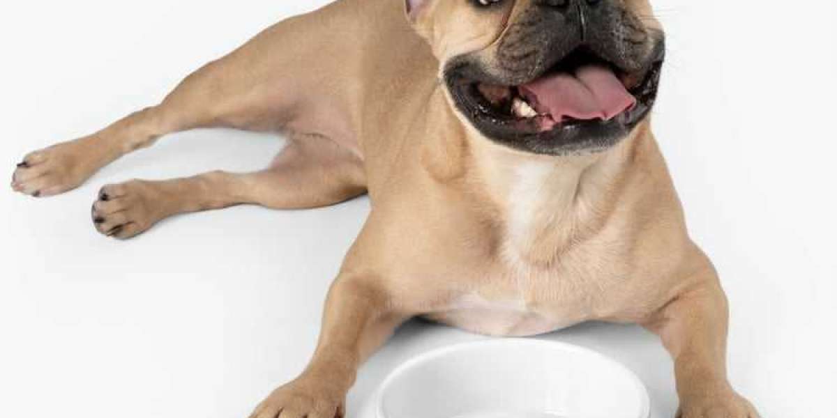 Choosing the Right Size and Design for Your Custom Pet Bowl