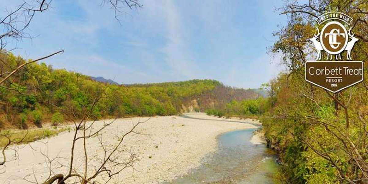General activities to delve into while staying at Wildlife Resort Jim Corbett