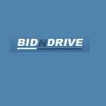Bidn drive Profile Picture