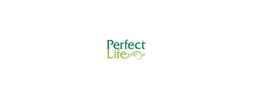 Perfect Life Cover Image