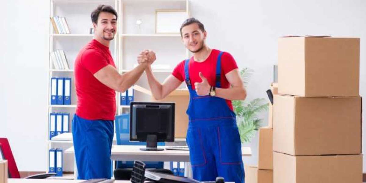 Dealing with Professional Removalists? Signs You’ve Hired Experts!