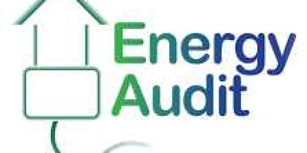 best energy audit companies in india