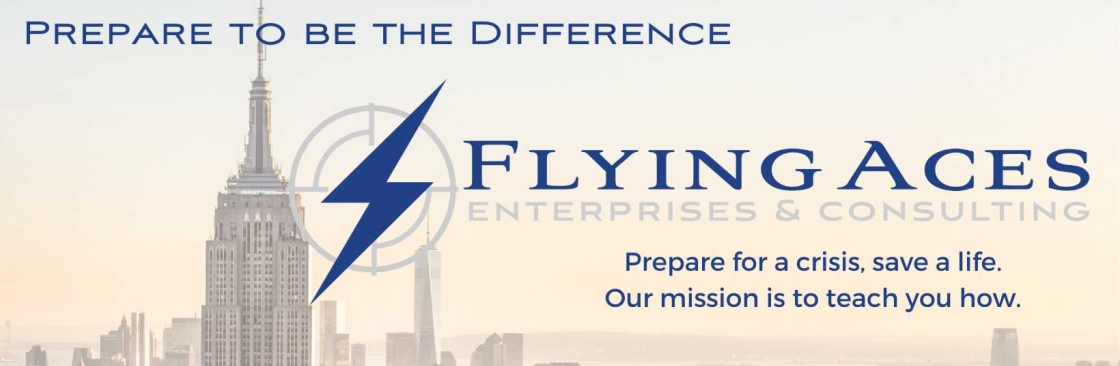 Flying Aces Consulting Cover Image