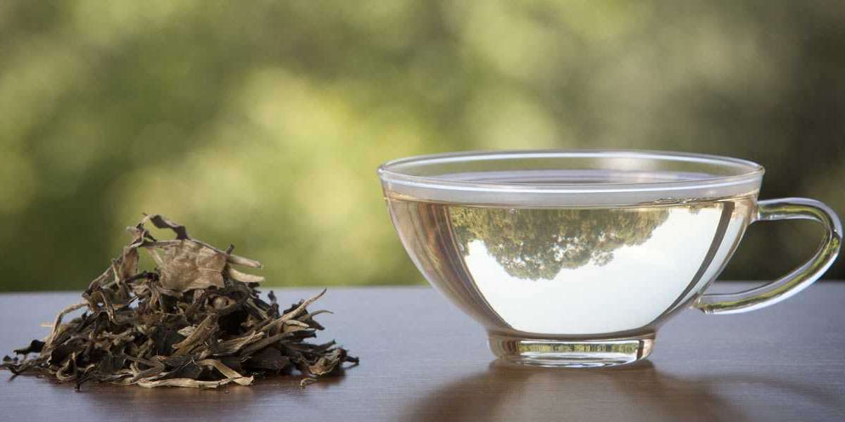 Unveiling The Delicate Elegance Of White Tea: A Journey Of Subtle Flavors